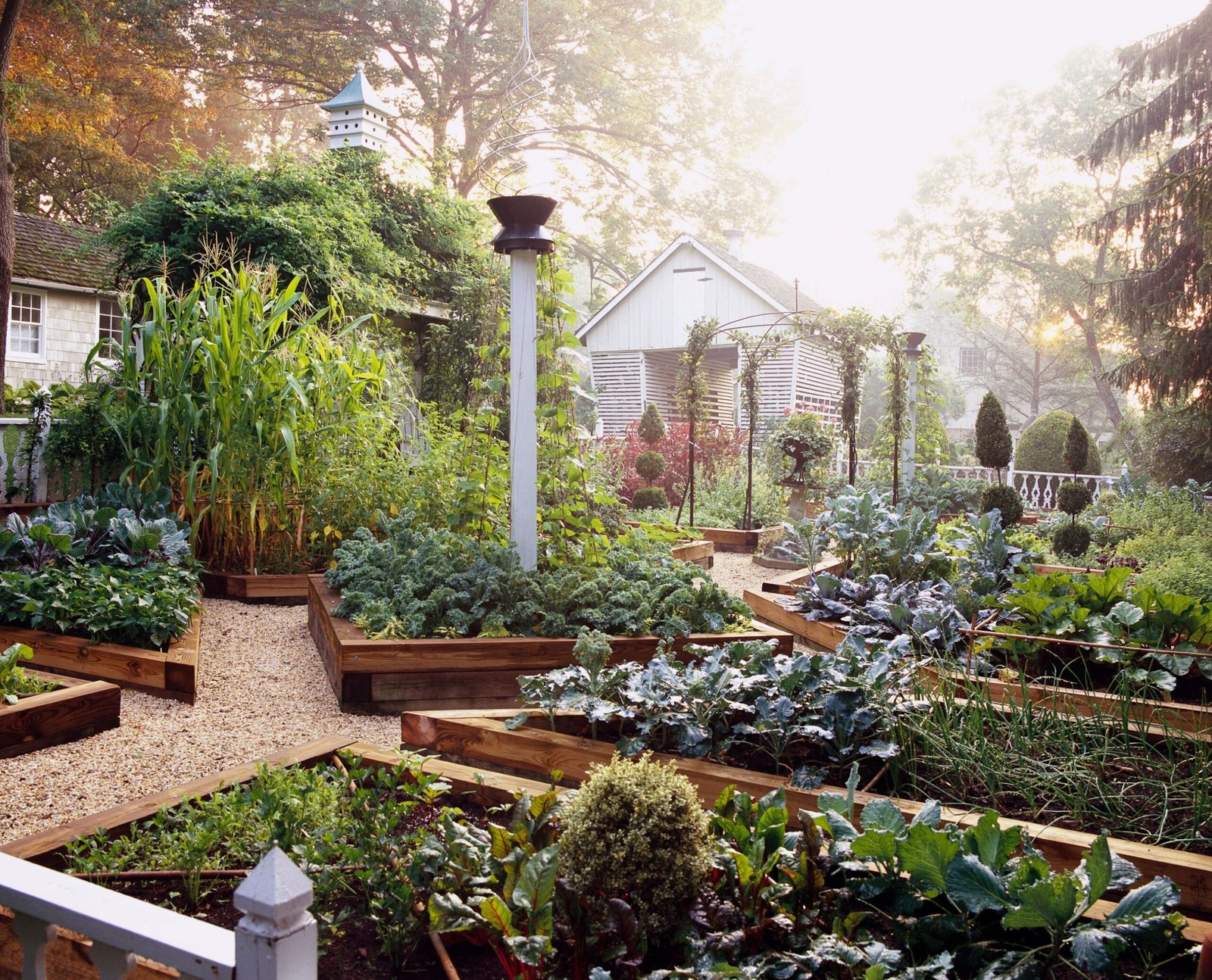 The founder of The Hip Little Garden working in a home garden