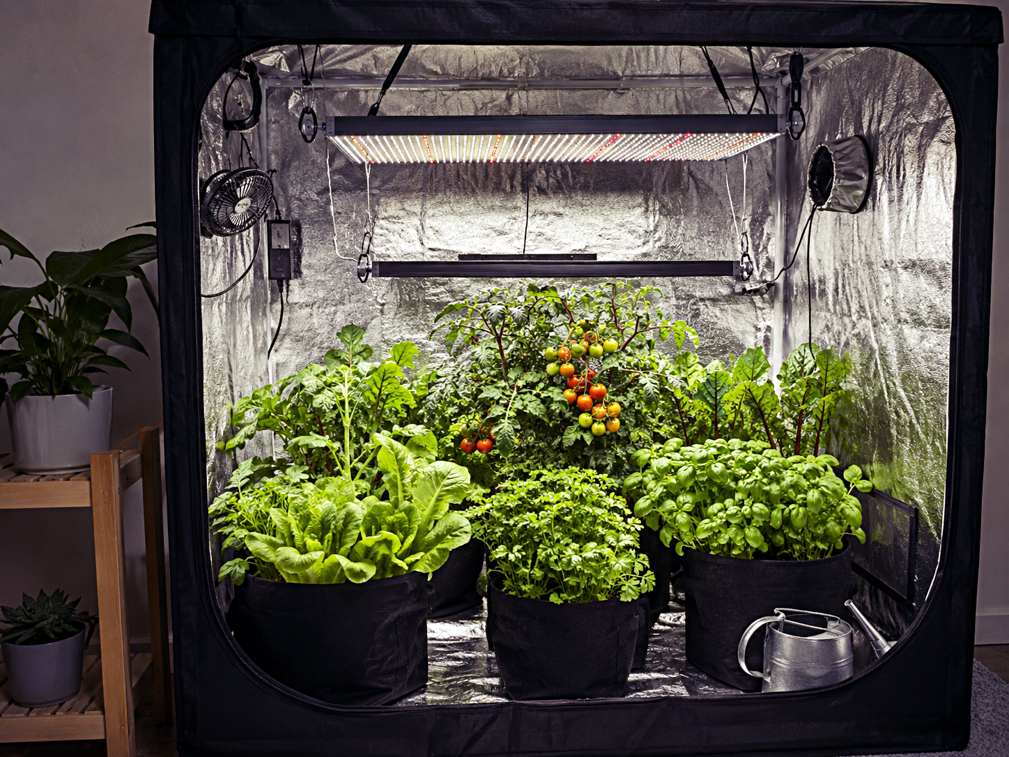 A small indoor grow tent with healthy vegetable plants
