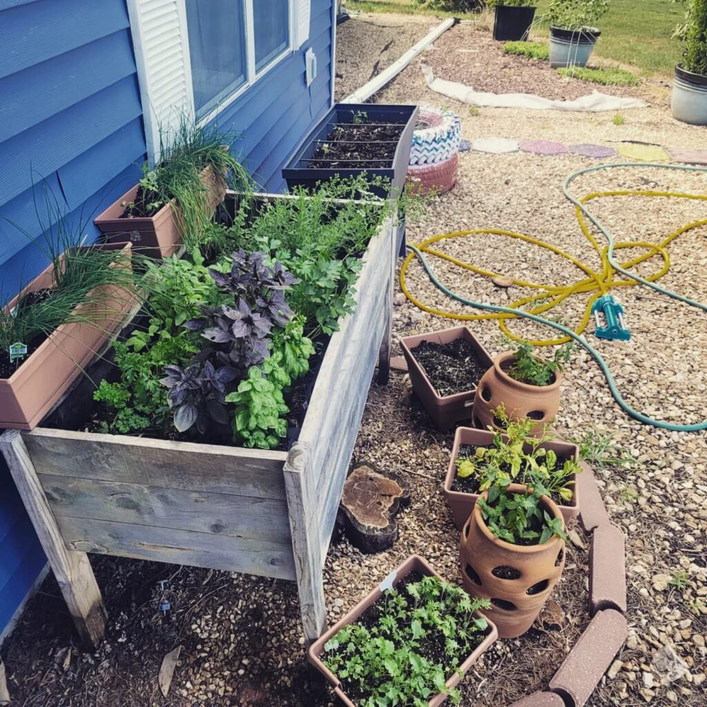 487493747 1446206296718044 323151964810516604 n