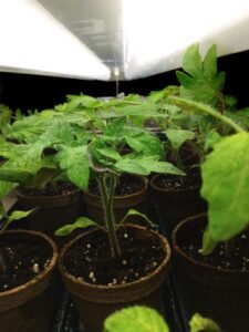 ph5r5mnpxbykm35yzdyfsw0wghkvhxuyntts4tefoupco8dvzbwtv1yxepmfmxcttmwxwv4dyhjlxtozr0lodofw2q676lstzdshyu3f g