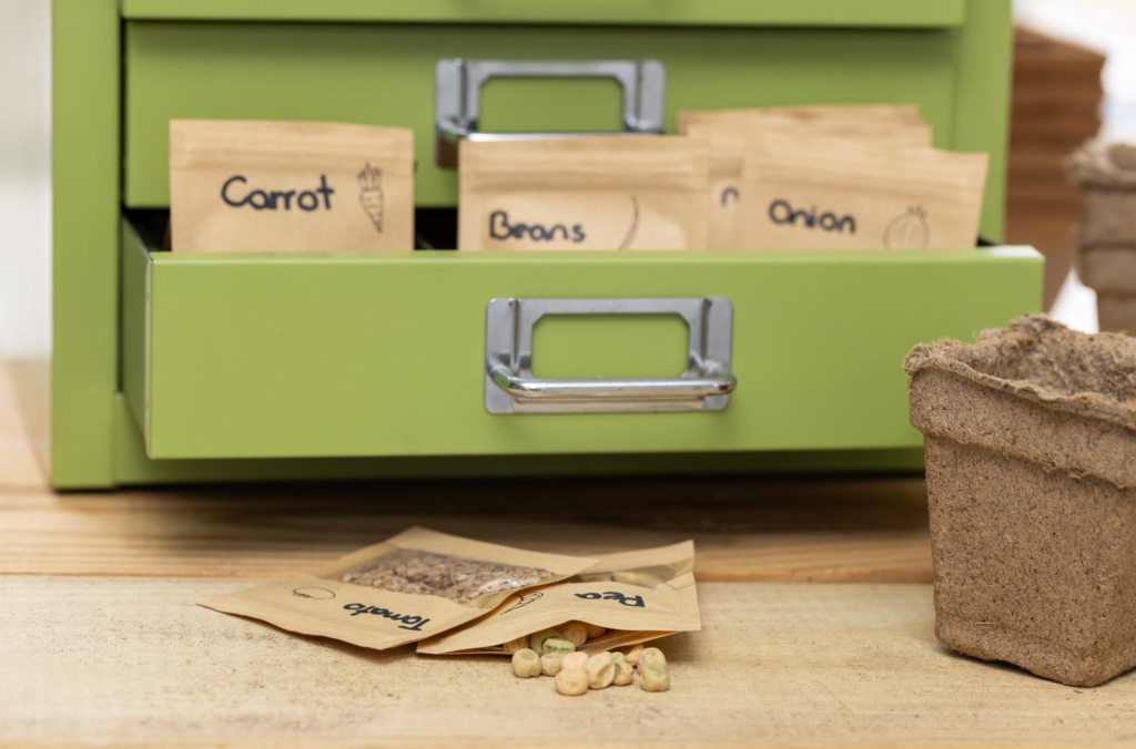 🌱 Where to Buy Seeds vs Plant Starts (And Which Is Better for Your Garden?) image