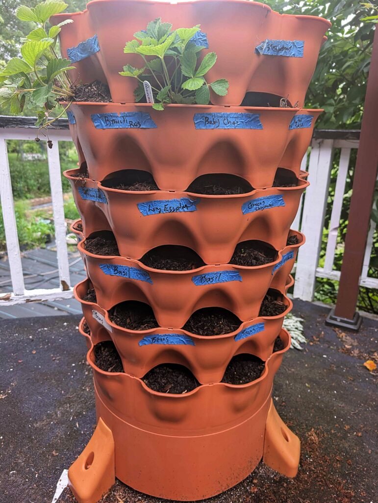My Garden So Far: Building a Garden While Raising a Baby pxl 20260606 155759615