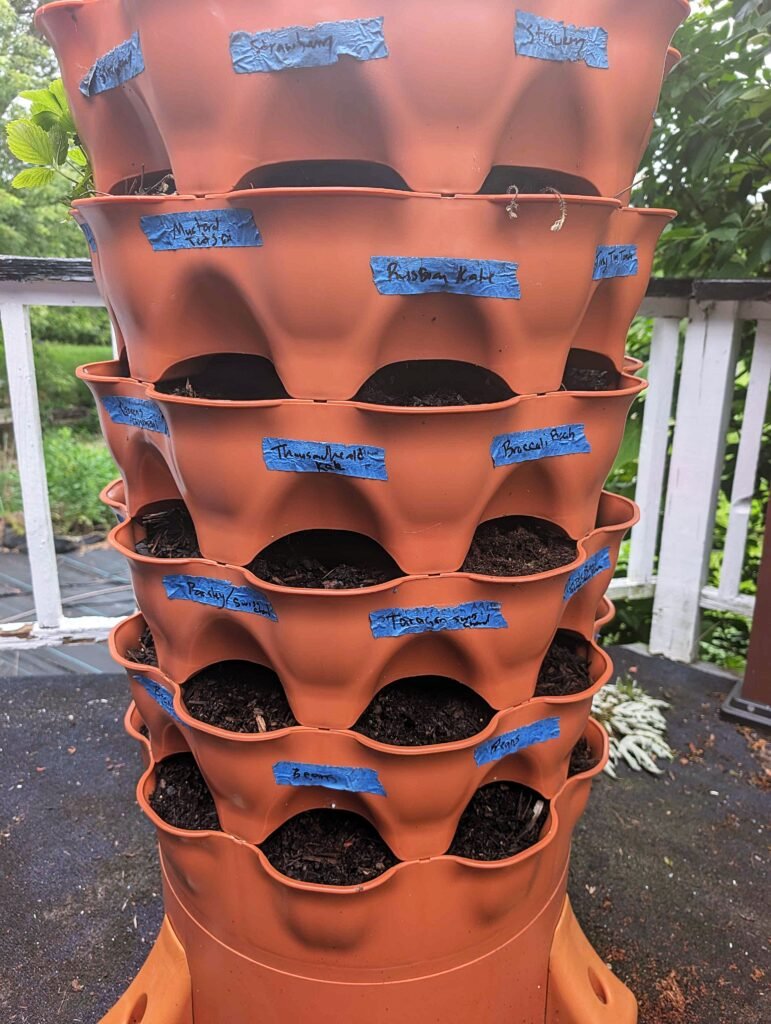 My Garden So Far: Building a Garden While Raising a Baby pxl 20260606 155806195