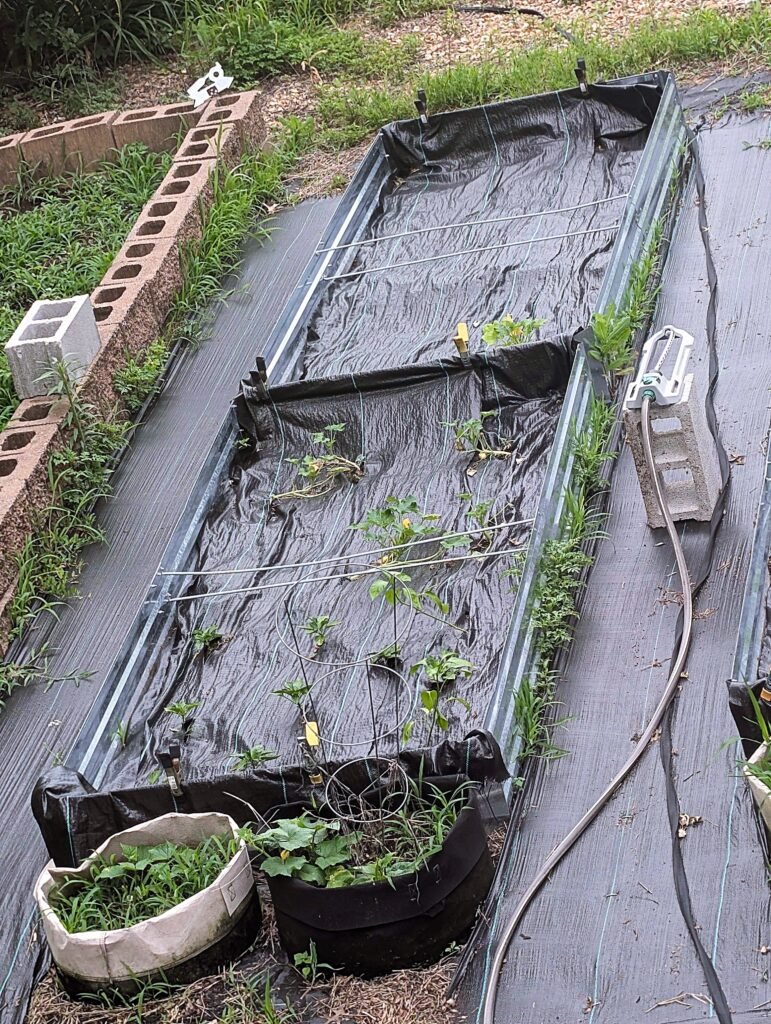 My Garden So Far: Building a Garden While Raising a Baby pxl 20260606 155857610
