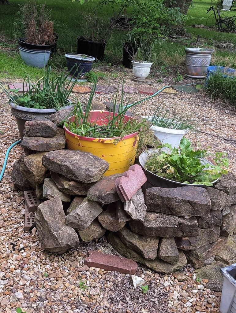 My Garden So Far: Building a Garden While Raising a Baby pxl 20260606 160012716