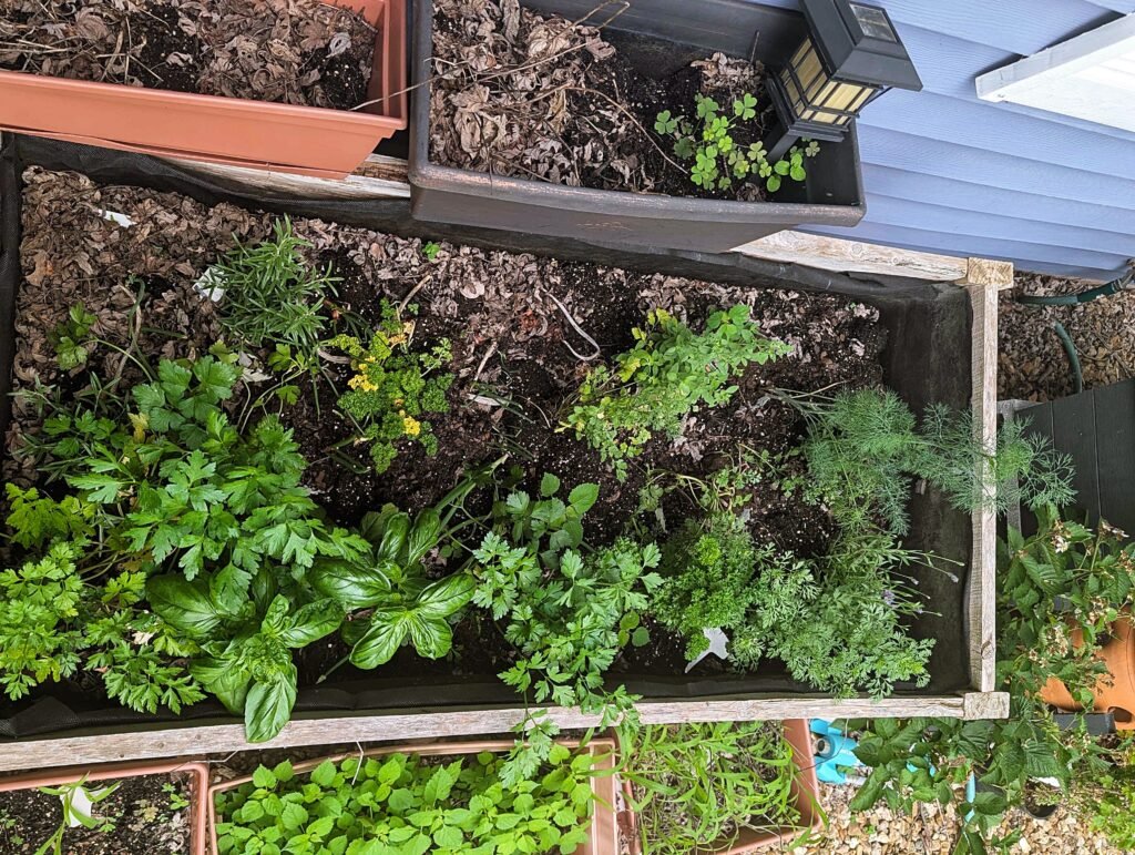 My Garden So Far: Building a Garden While Raising a Baby pxl 20260606 160051372.mp